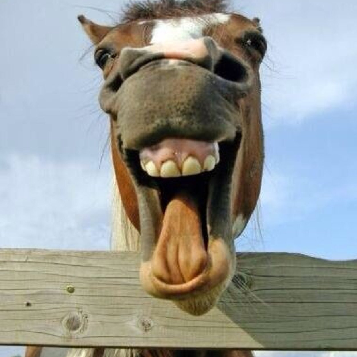 VriesCorita's profile picture. 