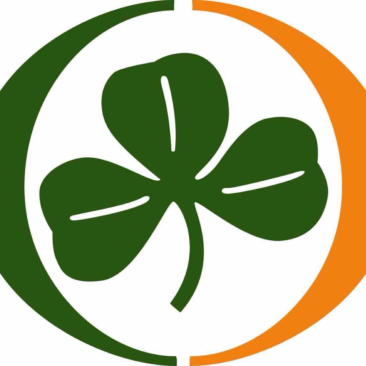 mattl211's profile picture. 