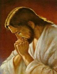 O Amor sempre vencerá em nossas vidas. A iniciativa é pessoal, abrir o coração e conduzir o caminho do bem .