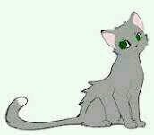 gentle ash grey she cat with jungle green eyes. thunder clan.♥