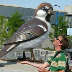 BennettJamie's profile picture. I like to go surf frozen and liquid h2o