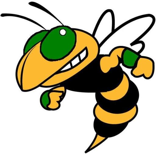 HornetsSBGames's profile picture. 