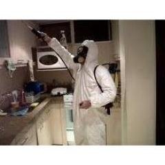 alpaservicio's profile picture. 