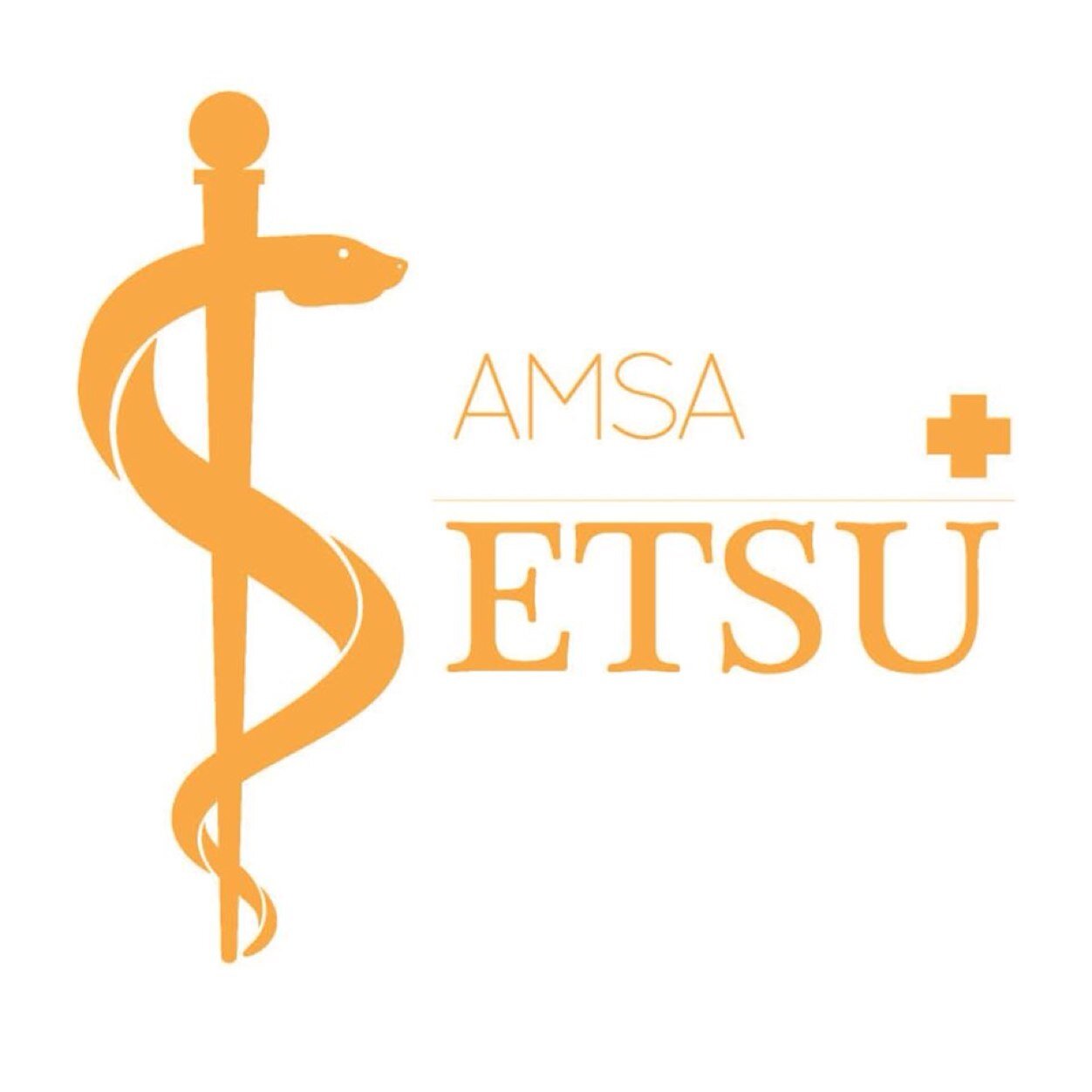 The American Medical Student Association at East Tennessee State University is a Pre-Health club on campus dedicated to helping you achieve your goals!