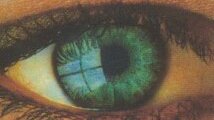 faceiridology's profile picture. Facereader- Iridology