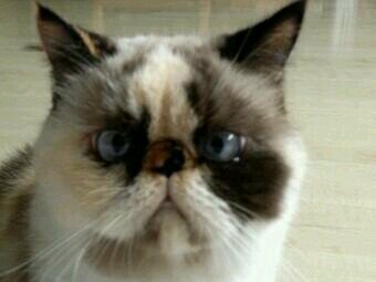 RespiroBellaC's profile picture. 