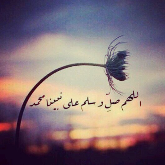 غابو الاحباب وما بقاء غير اعمالهم..♡♥        بني        73F83FCB