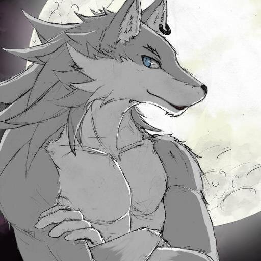 Hey...names Chris im just a fun loving wolf , ( #R34 #straight  #OC #Furry  V1:#Taken by my mate @Bell_loliFox V2: #taken by @juneloltia3)