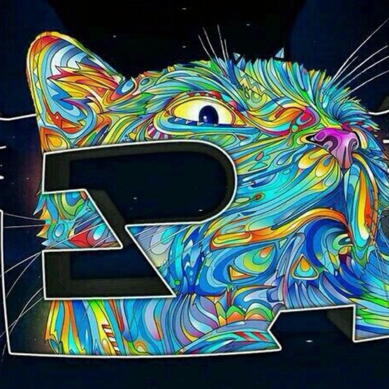 HeyKyzer's profile picture. Former/vP 8k,Dry 1.3k,S9 1.5k Looking For New Clan 3 Msg Me on Xbox GT:Dry Kyzer