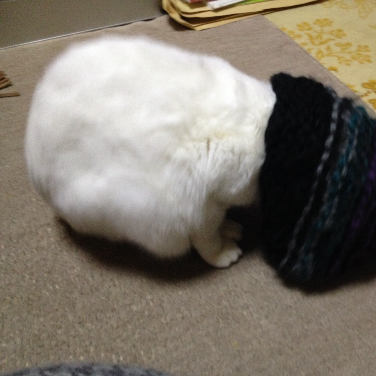 (*^^*)