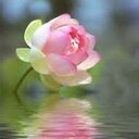 Lau - @LauCasper - Twitter