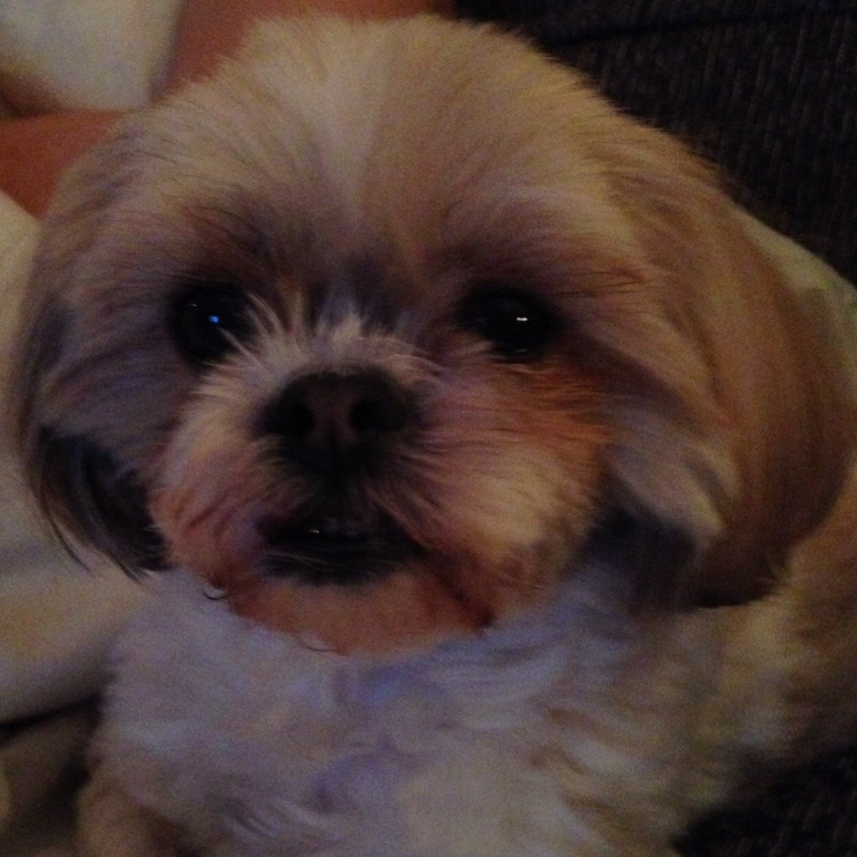 beez65's profile picture. 