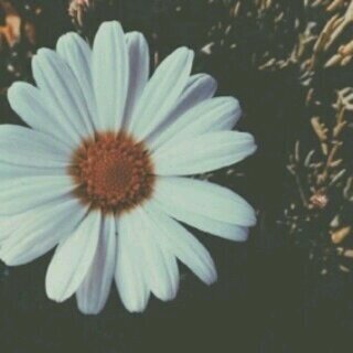 ‏‏‏‏‏الله هو العالم بمكانتك جواي،الله هو اللي يعرف ”قد ايش احبك”.