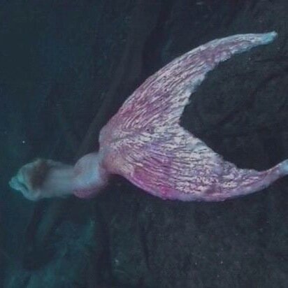They say that mermaids do not exist when more than a quarter of the oceans is unknown, Bitch PLEASE.♆