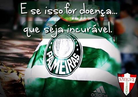 Palmeiras minha vida e vc