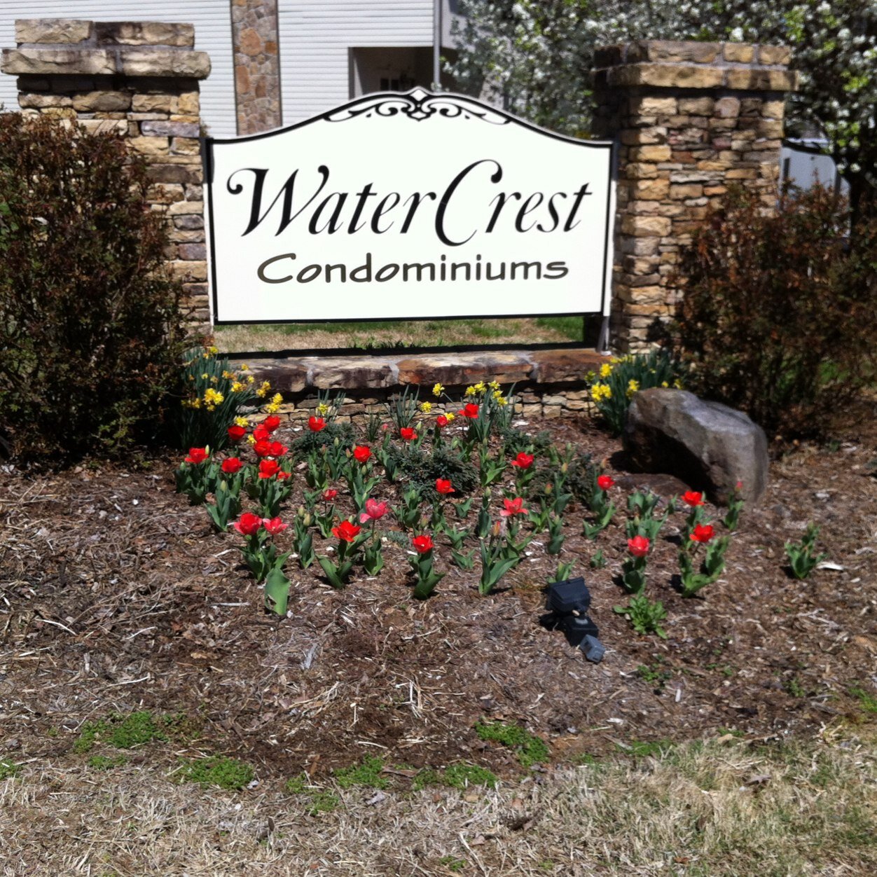 (No affiliation with the HOA of Watercrest Condos.)