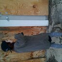 Emily Wald - @Luca_Ilia - Twitter