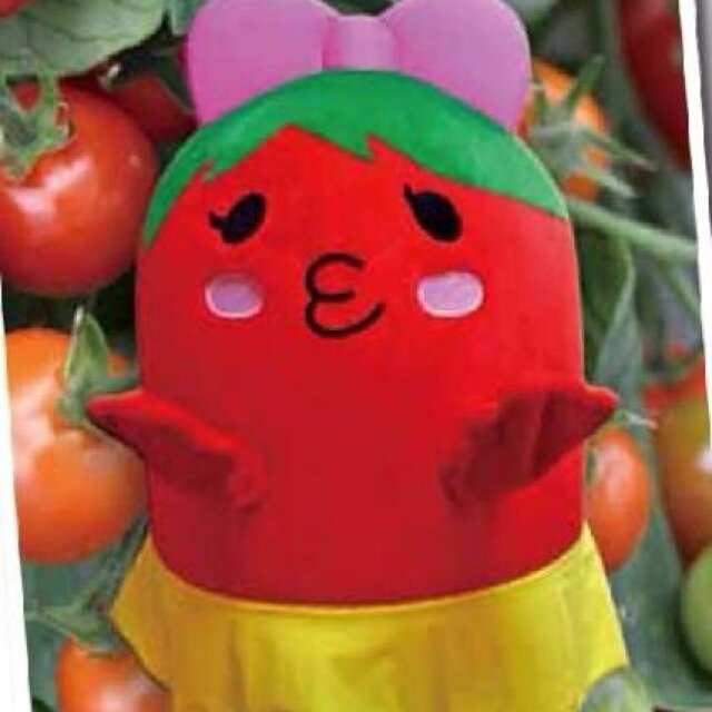 とまチュウ Tomachu Chuo Twitter とまチュウ Tomachu Chuo Twitter