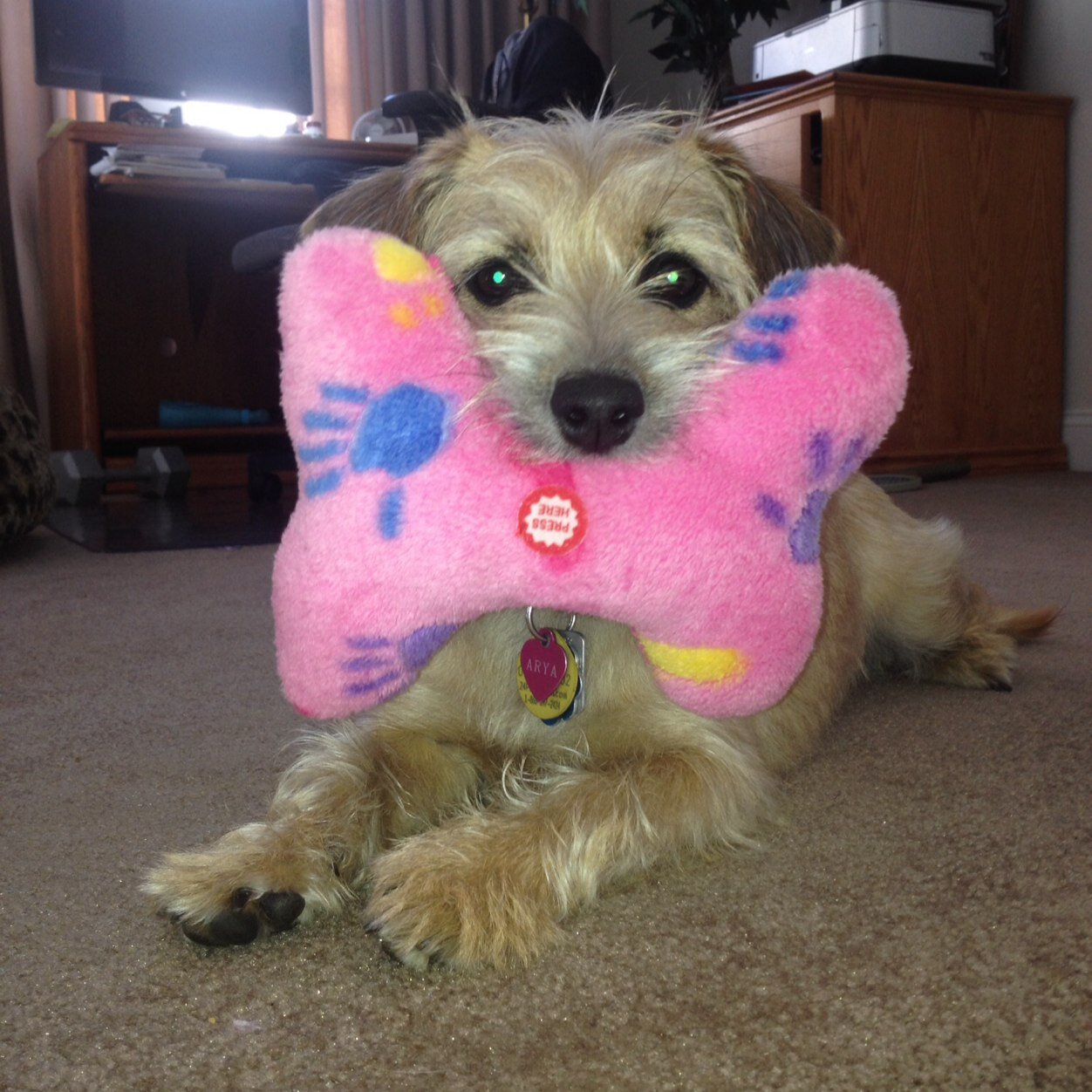 Starfish330's profile picture. Impatient observationlist, quiet intellectual, avid reader, loving mother to a wonderful son. Of course, a Goddess, a sun worshipper and a brand new GRANDMA!