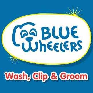 BlueWheelers1's profile picture. 