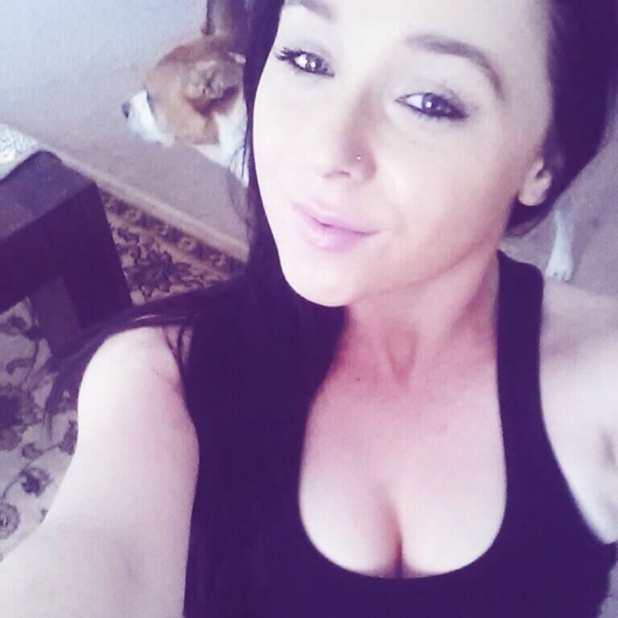 MissAbby_ox's profile picture. Yes i play xbox; i love my doggy bella; What you want on your sandwich m8; yes im biesexual.!