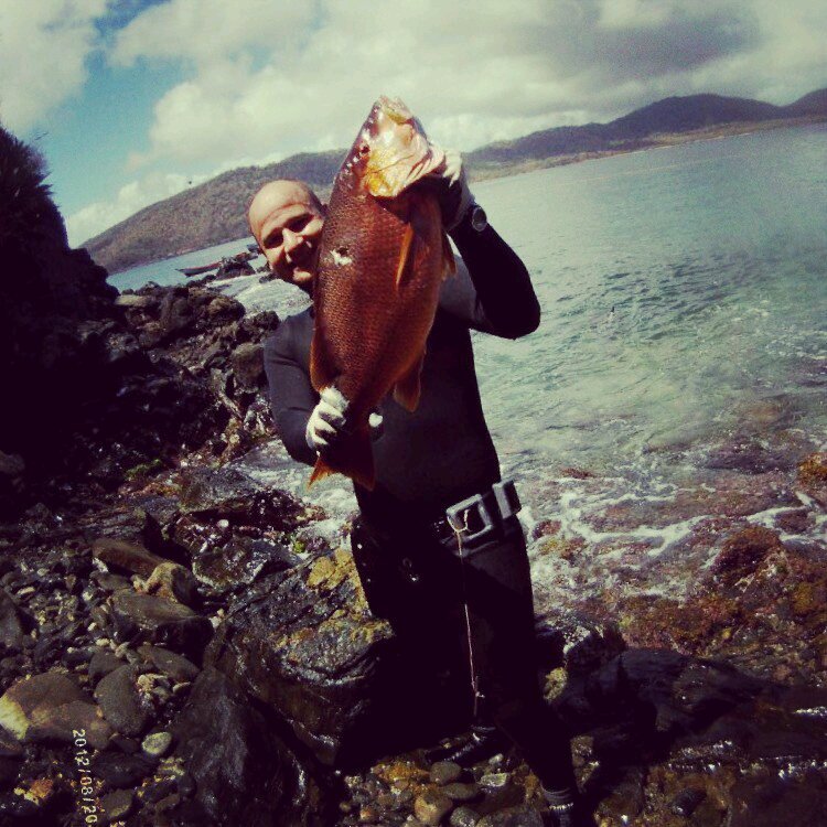 intruder126's profile picture. 