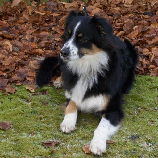 MlbInman's profile picture. 