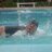vaguilar012001's profile image
