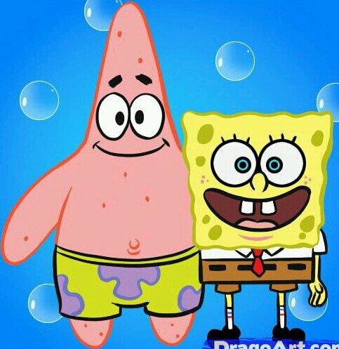 shencee08's profile picture. 