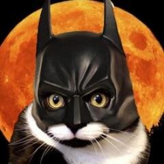 tokapb's profile picture. I am the night! 👿