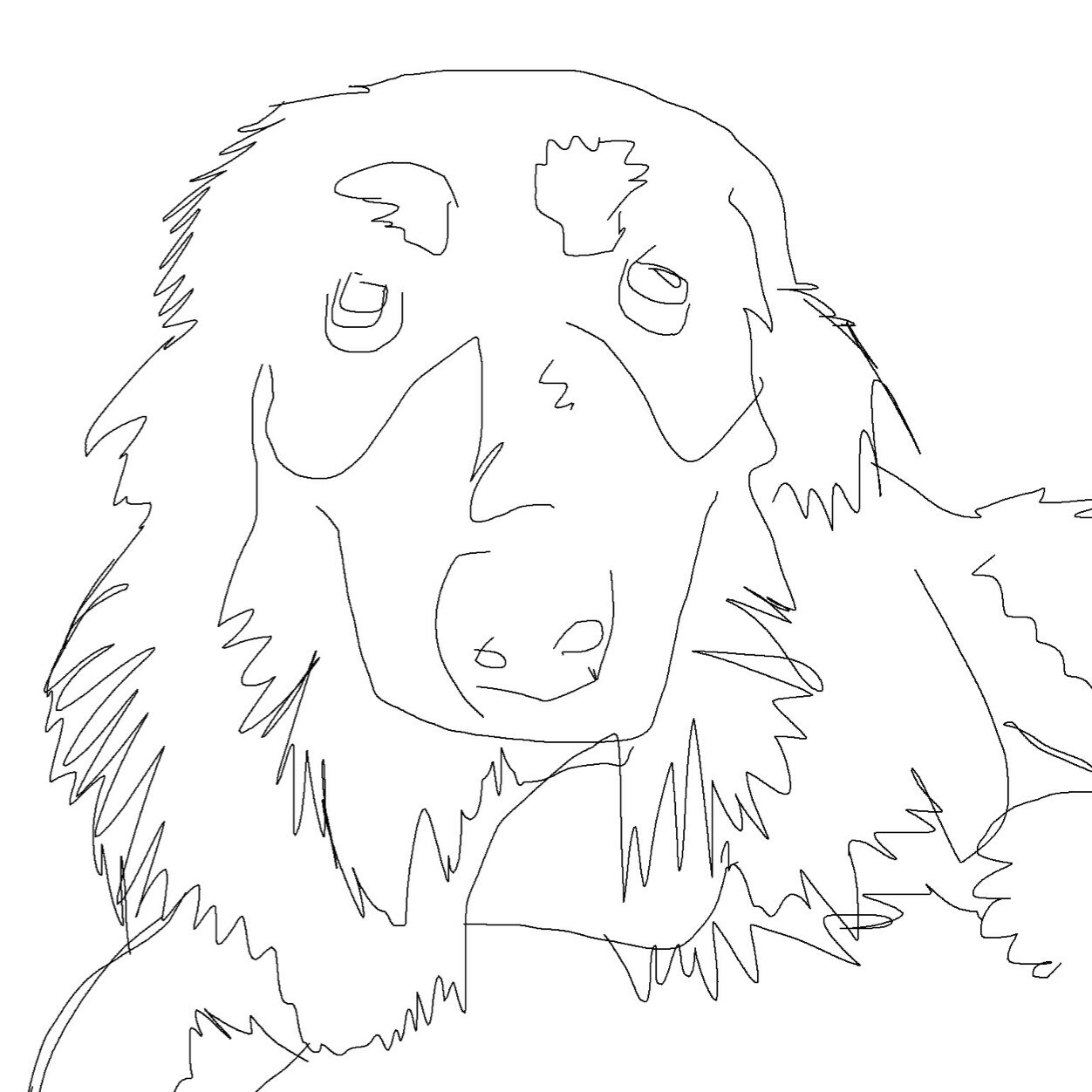 Husband. Babydaddy. Australian Shepherd dogfather . Observer of things.