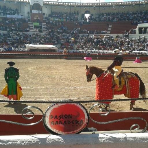 desdebarrera's profile picture. Opiniones de la vida, reflejada en la más bella de las fiestas. La Fiesta Brava.