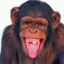 Scott Cornelison - @bombdisrupter - Twitter