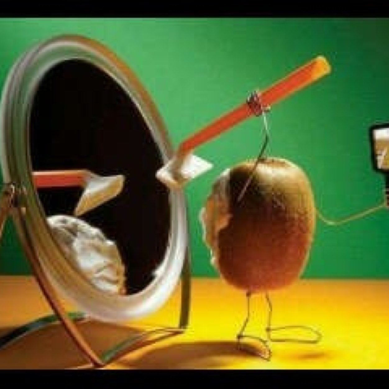 Waarom stak een kip de straat over??? Apenstaart!!!!!!!!!
Nee even serieus...