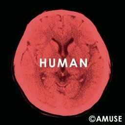 うつ病を患いながら看護師してます♪たまにブラックなことを吐き出しますが、ご注意くださいm(__)m   嵐大好きです♪潤担当☆実は福山雅治と長渕剛、鬼束ちひろも大好き♪ 嵐に吹き矢にて心奪われ隊No.34、翔潤応援隊No.110
