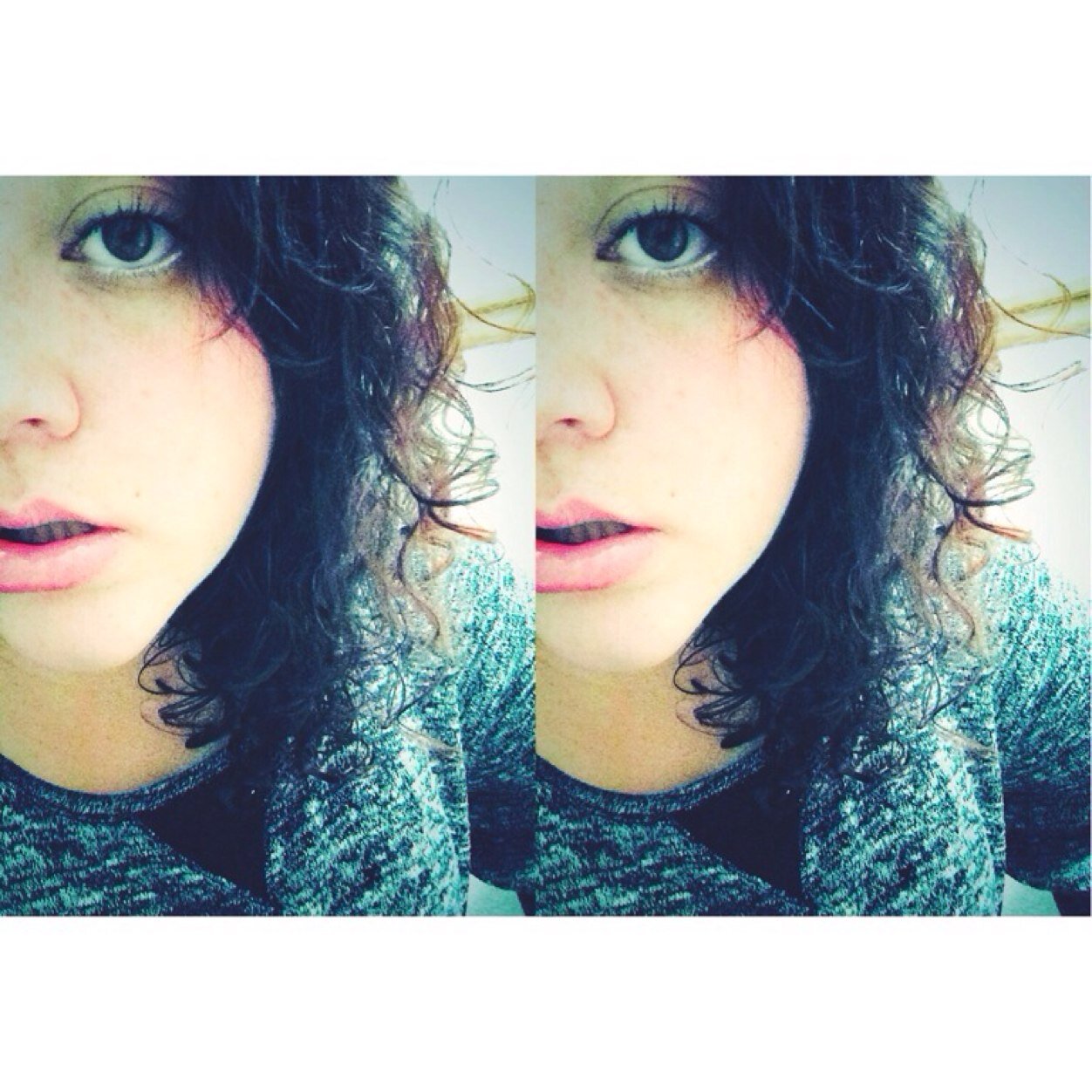 ♕☾| i hate everything | ✨ /'jipsē/ /sōl/ ✨| [shady]