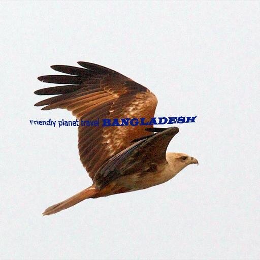 adilatravelplan's profile picture. Friendly planet Bangladesh operate tailor made tours in Bangladesh. now best tours in tiger points of Sundarbans http://t.co/S0rMGKHsr8