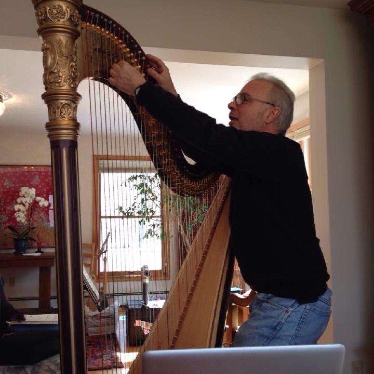 Owner/President of T. Edward Galchick Harp Services LLC. Master technician providing service since 1976. Professional electric bass player and recording artist.