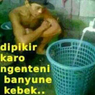 Peyokk dan peyokk ..semua peyokk