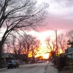 zachirusboston's profile picture. vosdafihuifer3.