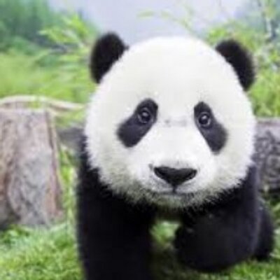 Panda 春日井静奈さんのブログに琢ちゃんの写真が 昨日築地に来てたんだ ニアミス残念 それにしてもカッコいいカップル