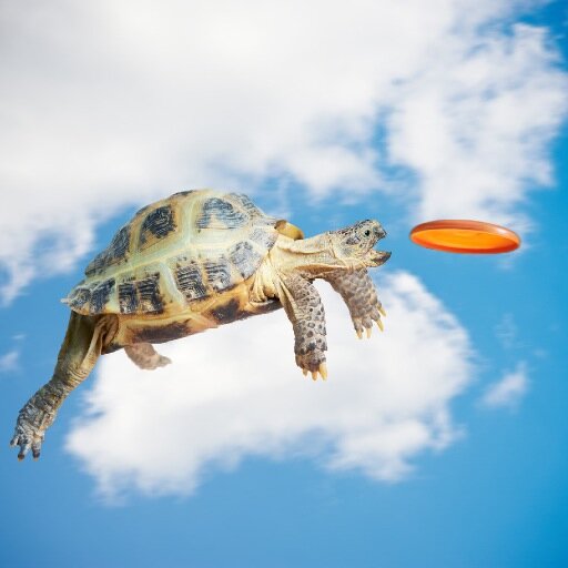 FirstAssistP's profile picture. Bespaar 1.000,-per maand door slimmer te werken