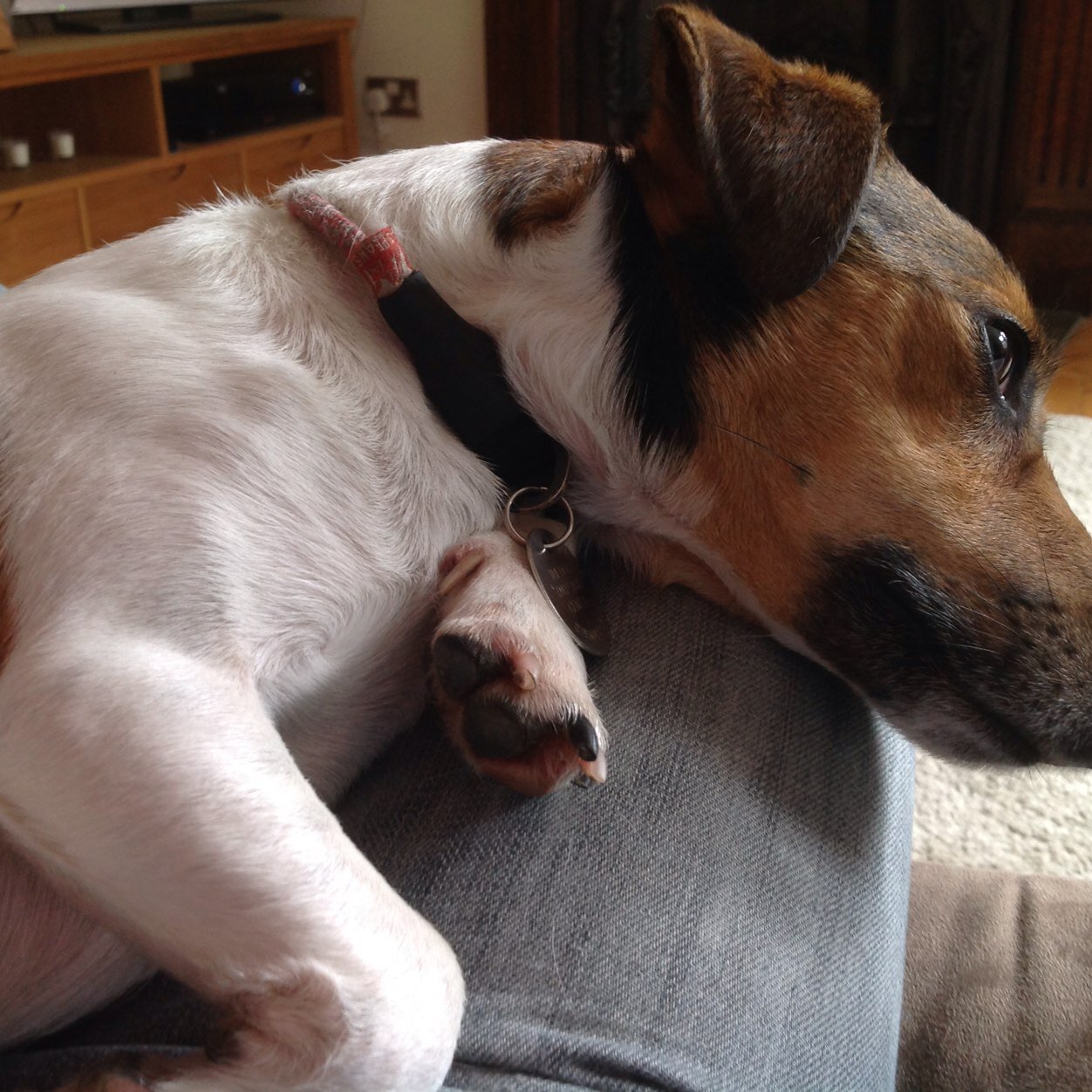 rickjmccann's profile picture. A manc blue a long way from home