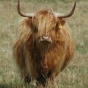 Jacqui MacLeod - @JacquiMacLeod - Twitter