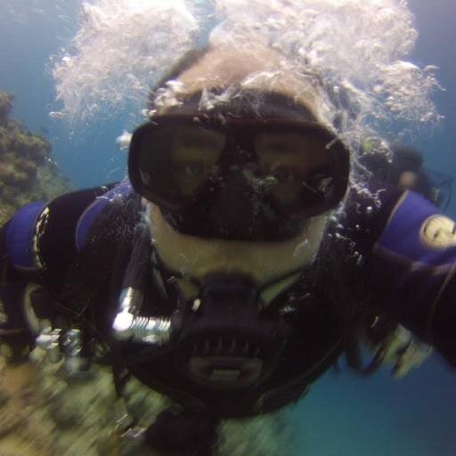 Works at PADI EMEA Ltd as a training consultant & instructor examiner.