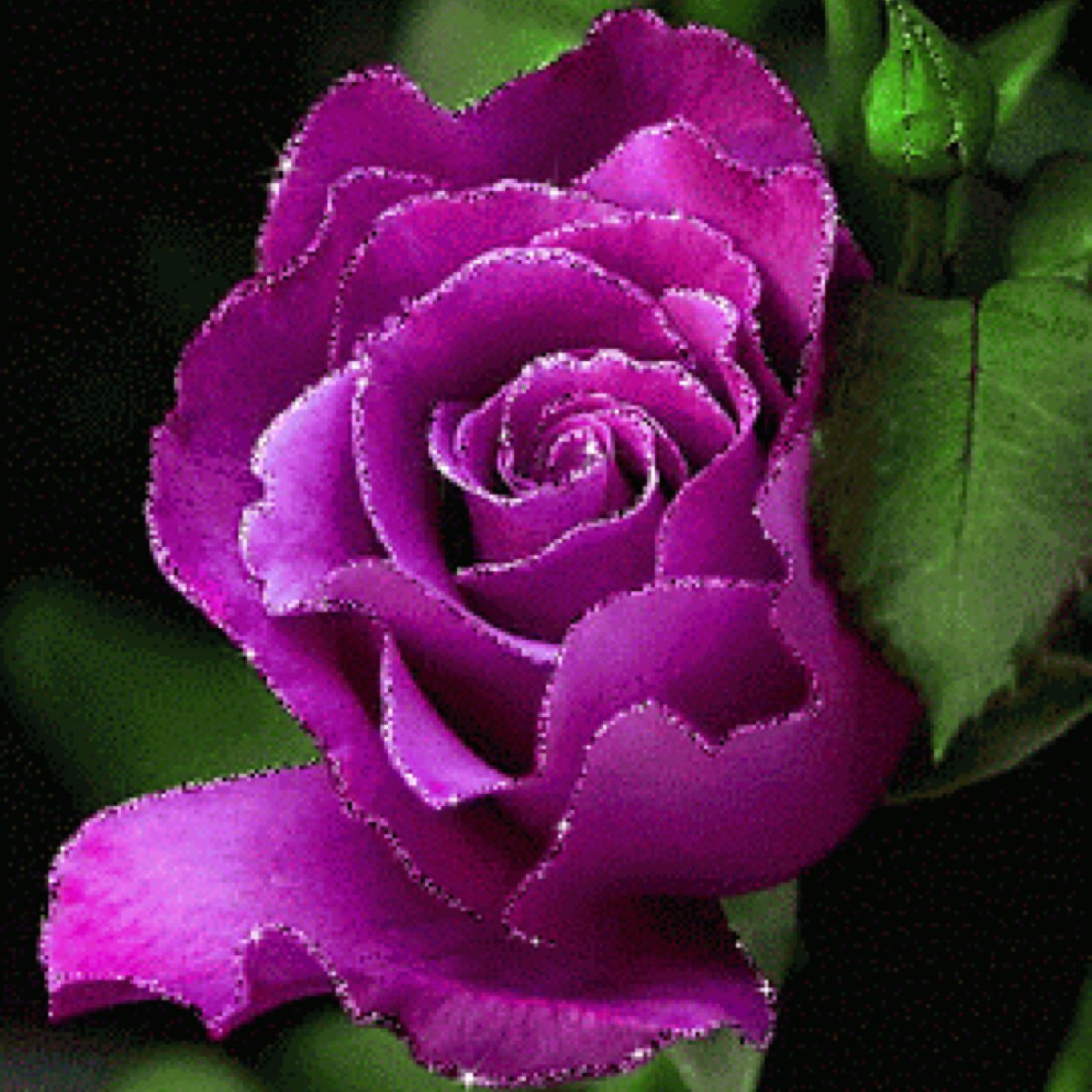 amidmh212121's profile picture. 