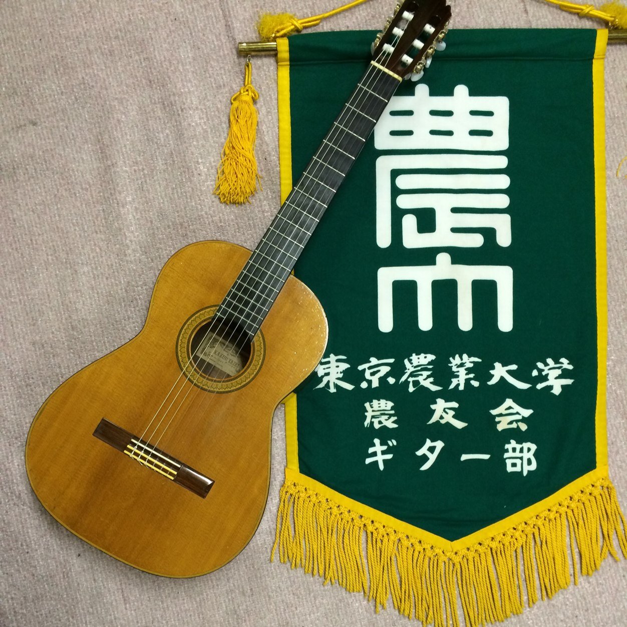 東京農業大学 農友会ギター部です！ 私たちは大小5種類のクラシックギターを使用して、6パートに分かれ、ギターアンサンブルをしています♪ これまでの演奏会の動画はこちら！！→https://t.co/URtcllWQpM #春から農大