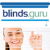 Blinds Guru Atlanta (@blindsdotguru) Twitter profile photo