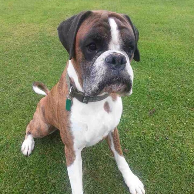 mcleankeith's profile picture. 