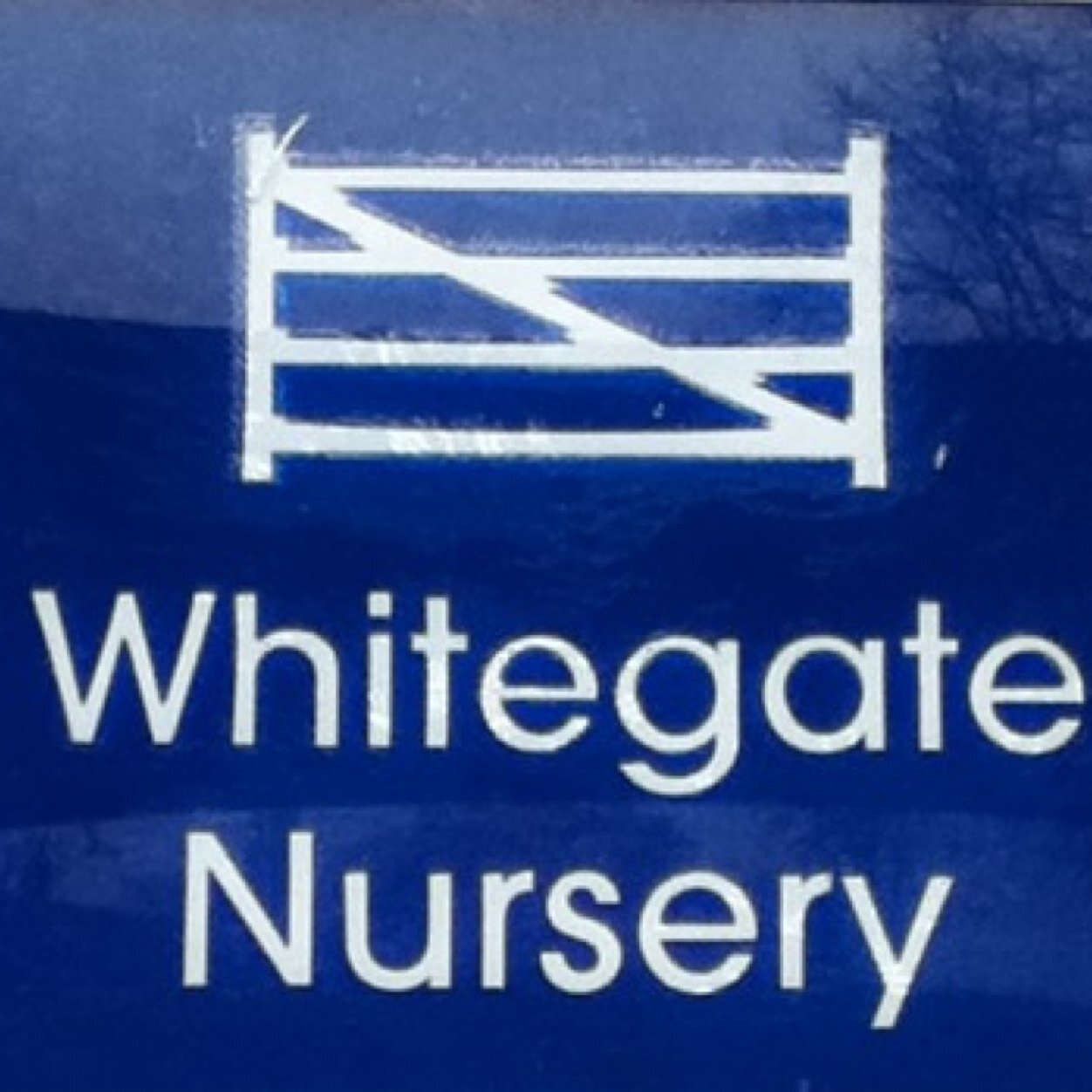 f1_whitegate's profile picture. 